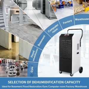 138L/D Europe hot selling R410a Commercial Dehumidifier Industrial FDH-2138BE