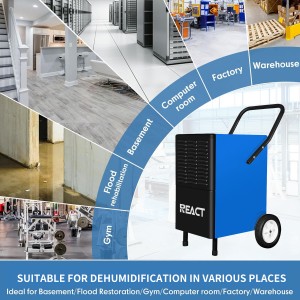 55L/D Commercial dehumidifier Europe dehumidifier for basment FDH-255BS