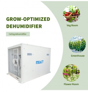 210Pints Industrial Grow Room Dehumidifier DH-210